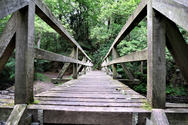 DER GENUSSWANDERER 