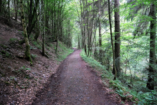 DER GENUSSWANDERER 