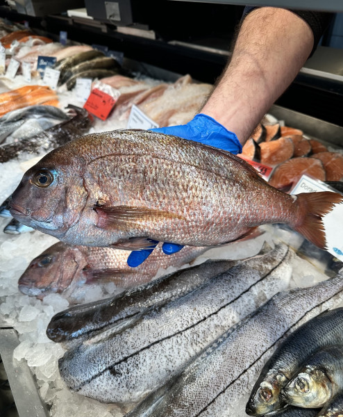 Vom Fischteich zum Erlebnisort 