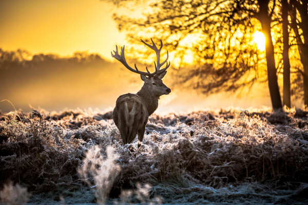 Jagdschulzentrum Köln-Bonn 