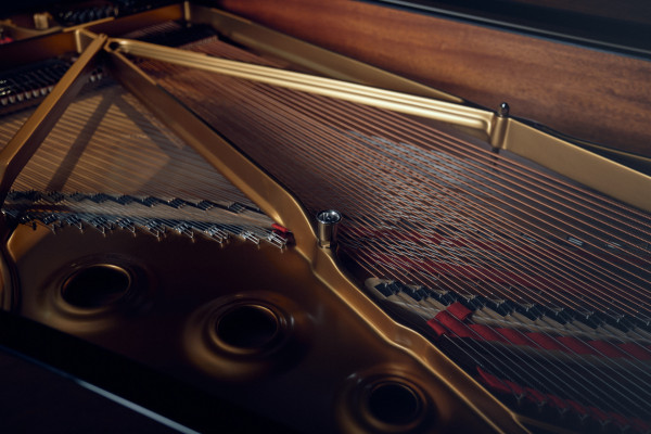 KLAVIERE, FLÜGEL, DIGITALPIANOS: TASTENKOMPETENZ 