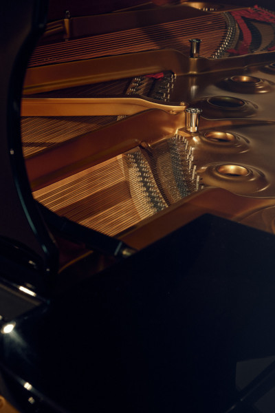 KLAVIERE, FLÜGEL, DIGITALPIANOS: TASTENKOMPETENZ 