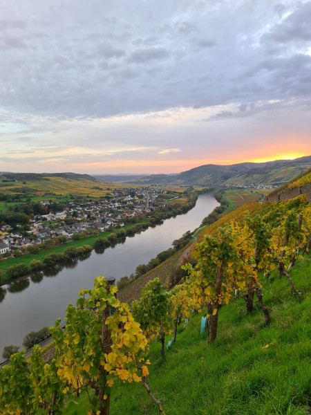 Waldbaden 