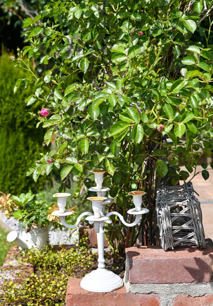 Zweiter Wäller Gartenpreis 